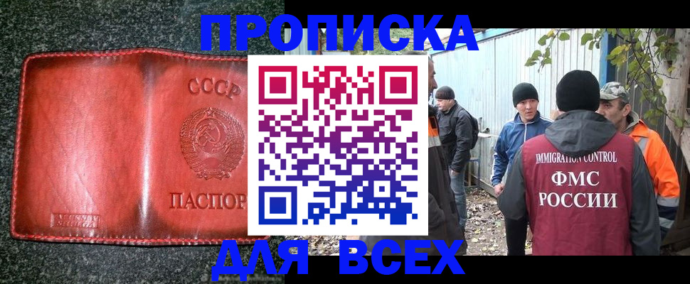 временная регистрация поиск в Гае